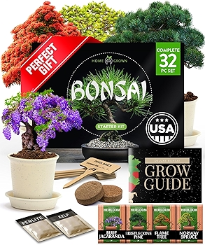 Bonsai Tree Kit