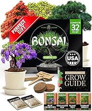 Bonsai Tree Kit  Gifts for Men & Women - Grow 4 Bonsai Trees - Unique Gardening Crafts for Adults, DIY Hobbies for Plant Lovers & Gardeners - Unusual Christmas Gift Ideas for Mom & Dad