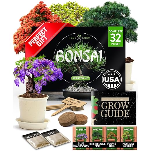 Bonsai Tree Kit Gifts for Men & Women - Grow 4 Bonsai Trees - Unique Gardening Crafts for Adults, DIY Hobbies for Plant Lovers & Gardeners - Unusual Christmas Gift Ideas for Mom & Dad