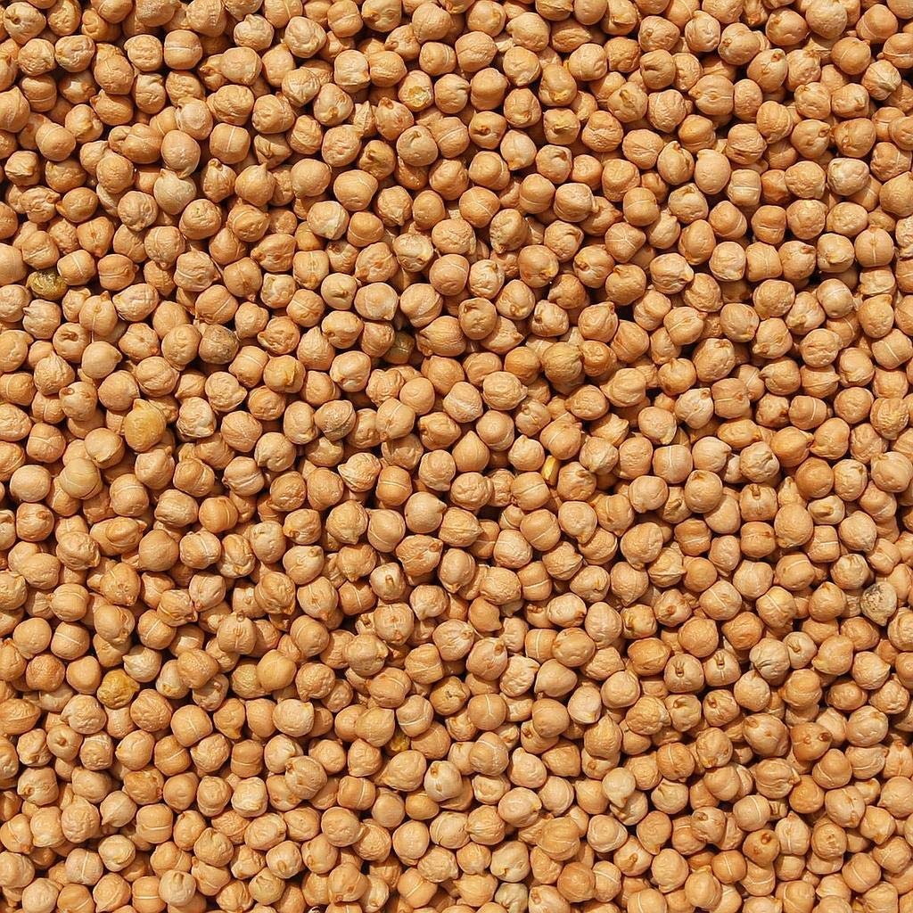 Amazon.com: Garbanzo Beans - 25lb : 雜貨和美食
