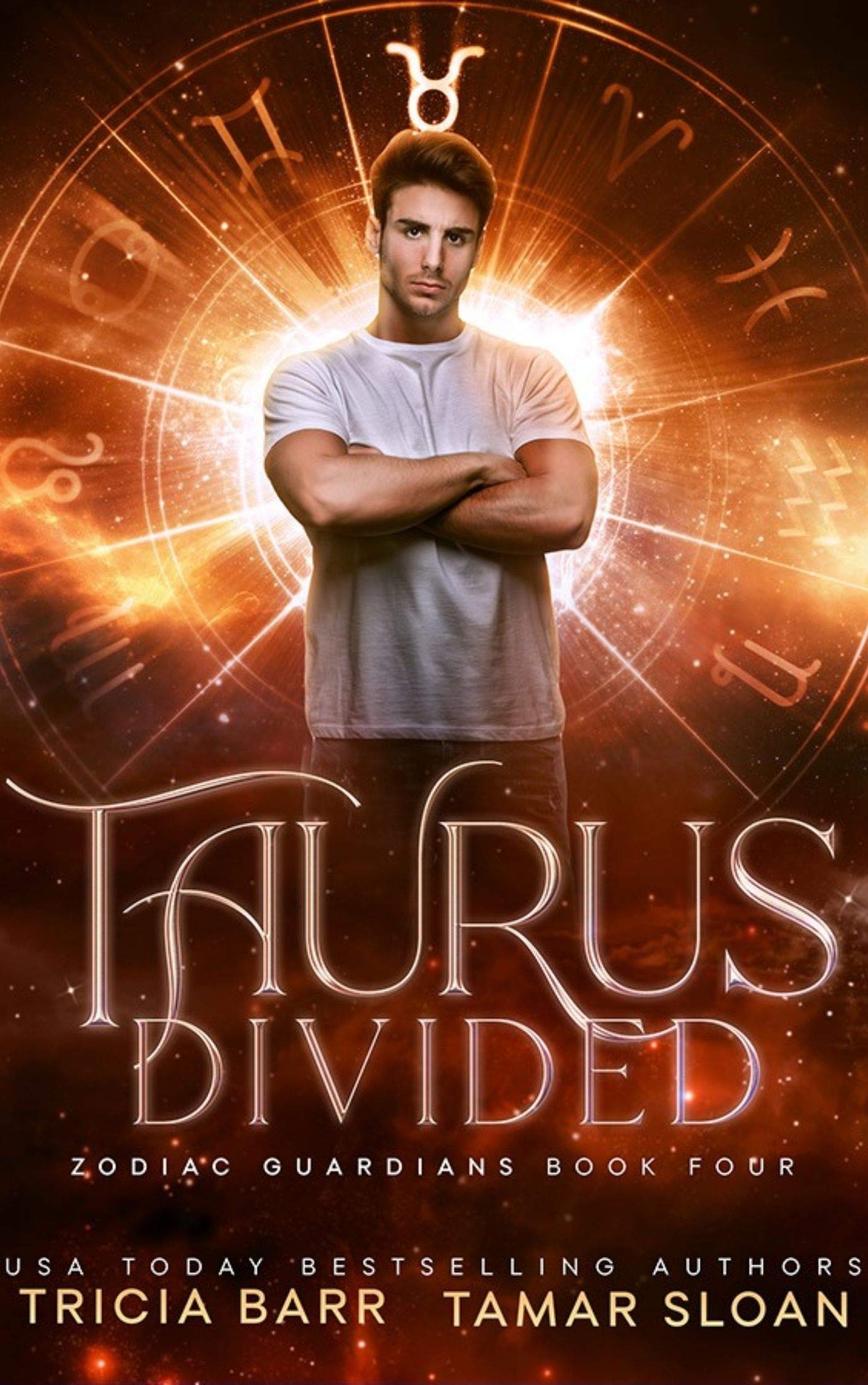 Cover of Taurus Divided