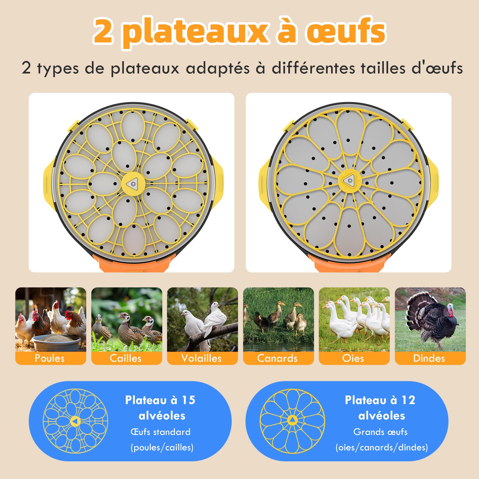 Couveuse Automatique 15 Œufs, Incubateur d’Œufs avec 5 Modes, Retournement Automatique, Contrôle Température et Humidité, Mire-Œufs Intégré pour Poule, Caille, Canard