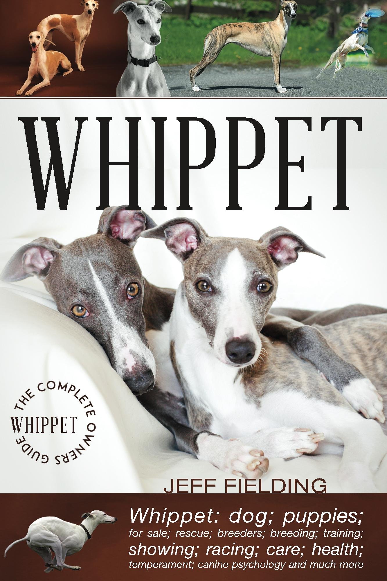 Whippet: The Complete Owners Guide: Whippet; dogs; puppies; for sale; rescue; racing; breeders; breeding; training; showing; care; health; temperament