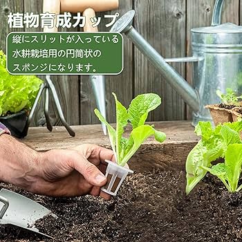 鉢物栽培技術マニュアル Progress of the comparative planter cultivation experiment