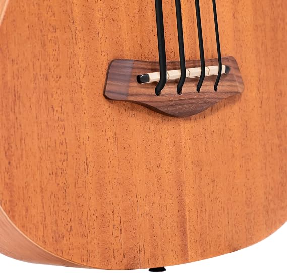 Gold Tone M-BassFL 23-Inch Scale Fretless Acoustic-Electric MicroBass with Gig Bag