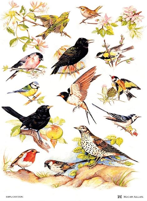 Samuel Lamont British Birds Cotton Tea Towel, White, One Size