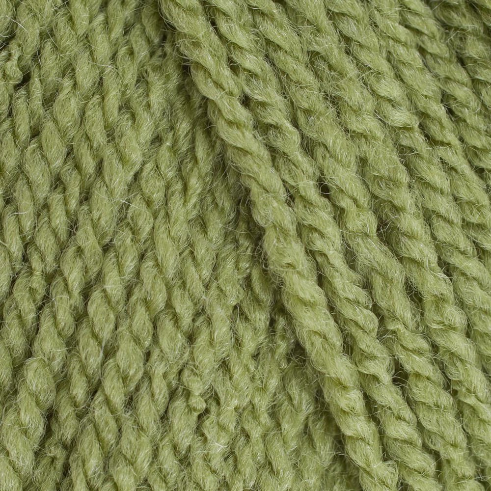 Stylecraft 5 X 100G Meadow 1065 5 X 100G Special Dk Double Knit Wool/Yarn Pack Of Five (5 X 100G Meadow 1065)
