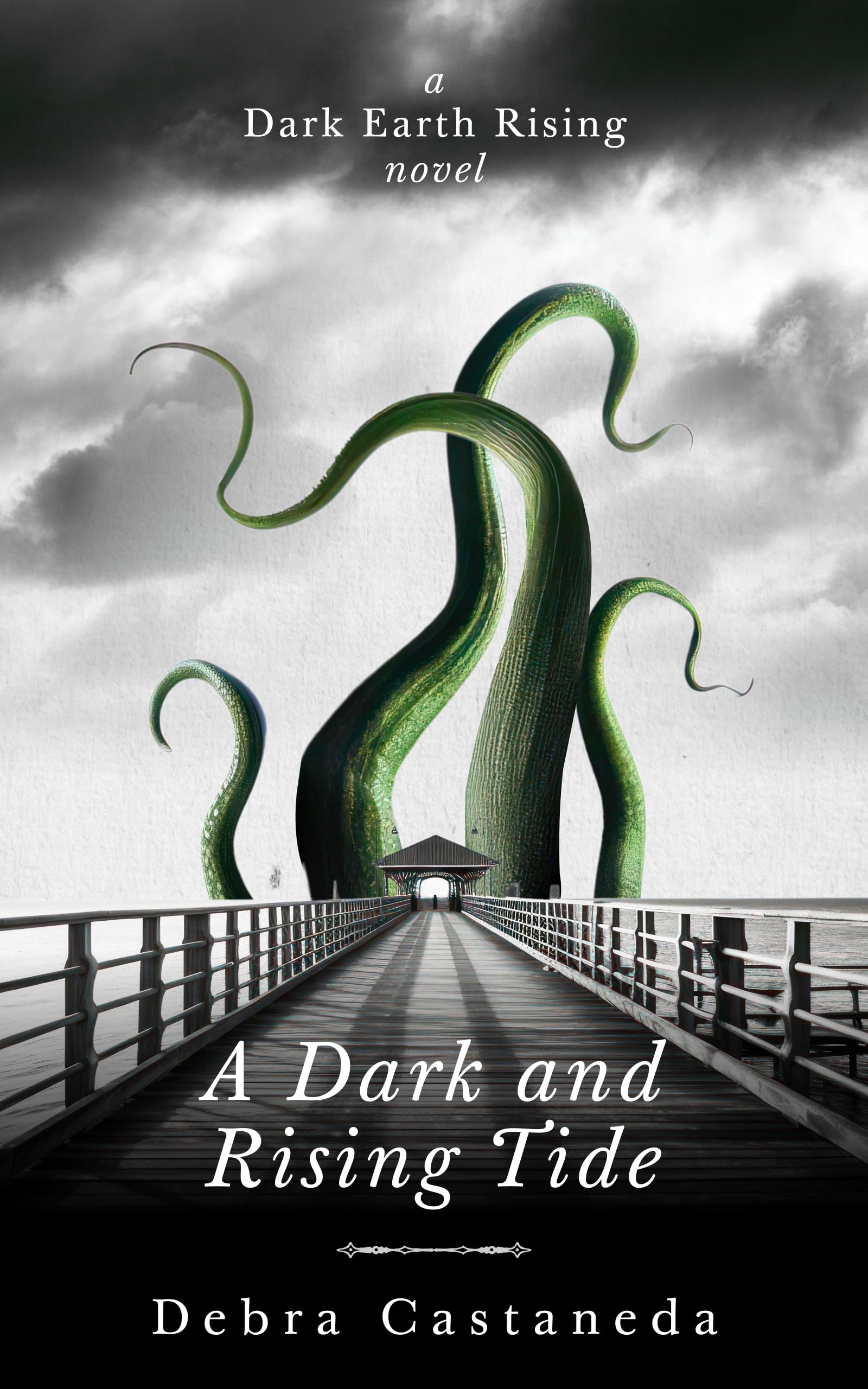 Cover of A Dark and Rising Tide