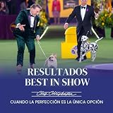 Ver la foto 2