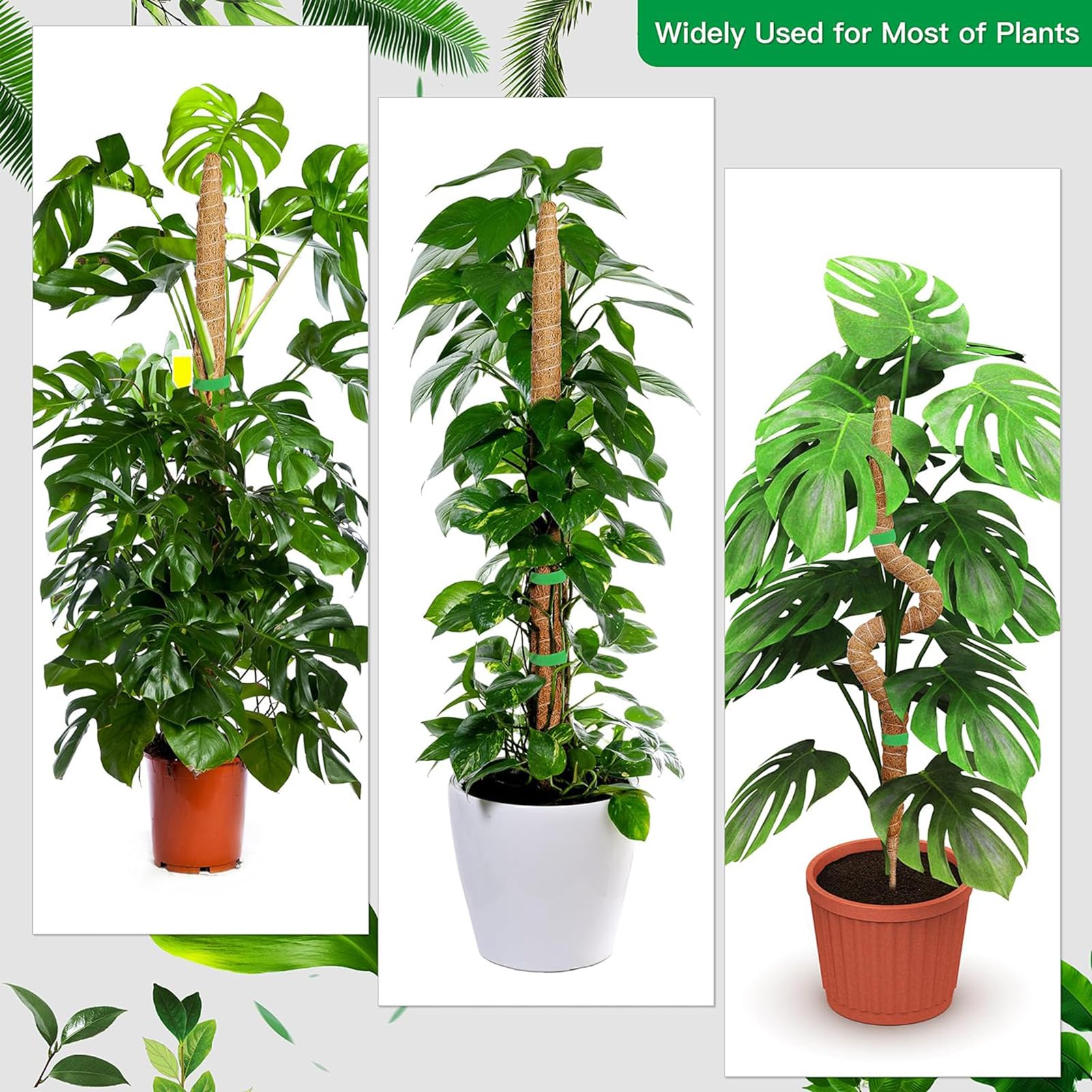 Lot de 2 piquets en mousse pour Monstera, 63,5 cm pour plantes d'intérieur flexibles, avec corde de 1,5 m, idéal pour les plantes grimpantes pour faire pousser des plantes