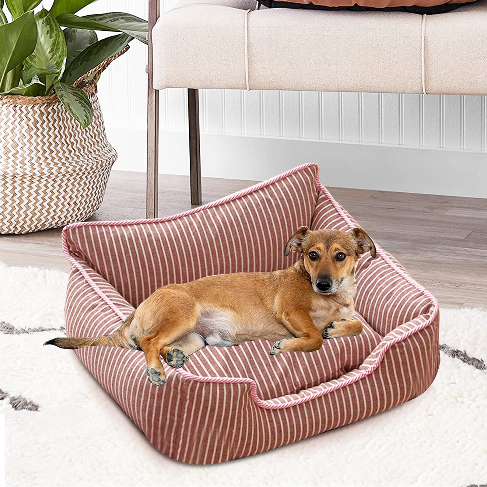 PETCUTE Cama Gato y Perros Pequeños,Camas para Perros,Ortopédica Cama para Perros de Espuma Viscoelástica con Funda extraíble,Sofá Cama para Mascotas Lavable y Antideslizante
