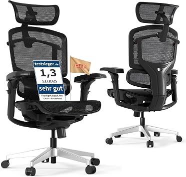 FLEXISPOT ErgoX Pro Ergonomic Office Chair   CHIP Certified, 12-Level Adjustable Height & 5D Lumbar Support, 7D Armrests & 4D Headrest, Supports Up to 250 kg, Mesh Chair for Home Office