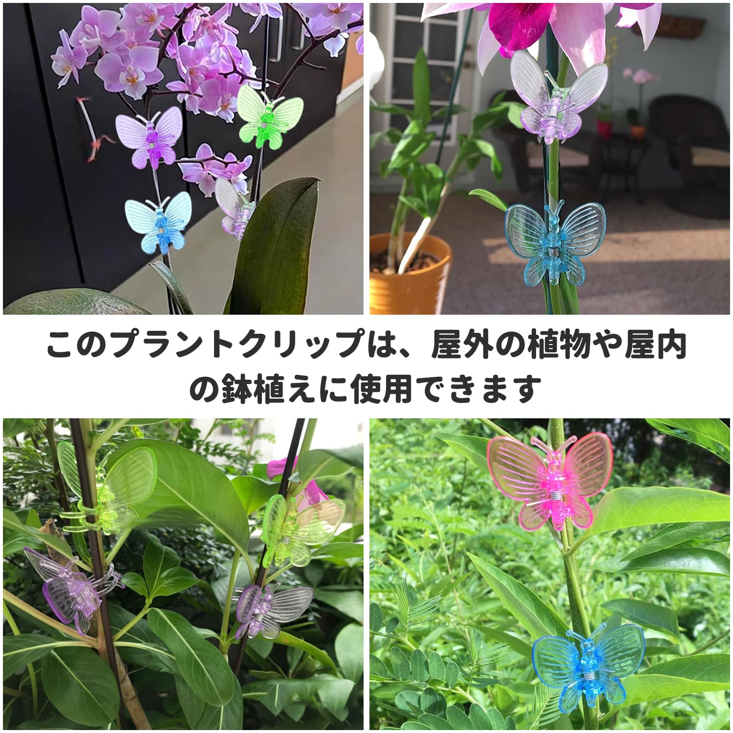 Amazon | オーキッドクリップ 胡蝶蘭クリップ オーキッドクリップ 胡蝶
