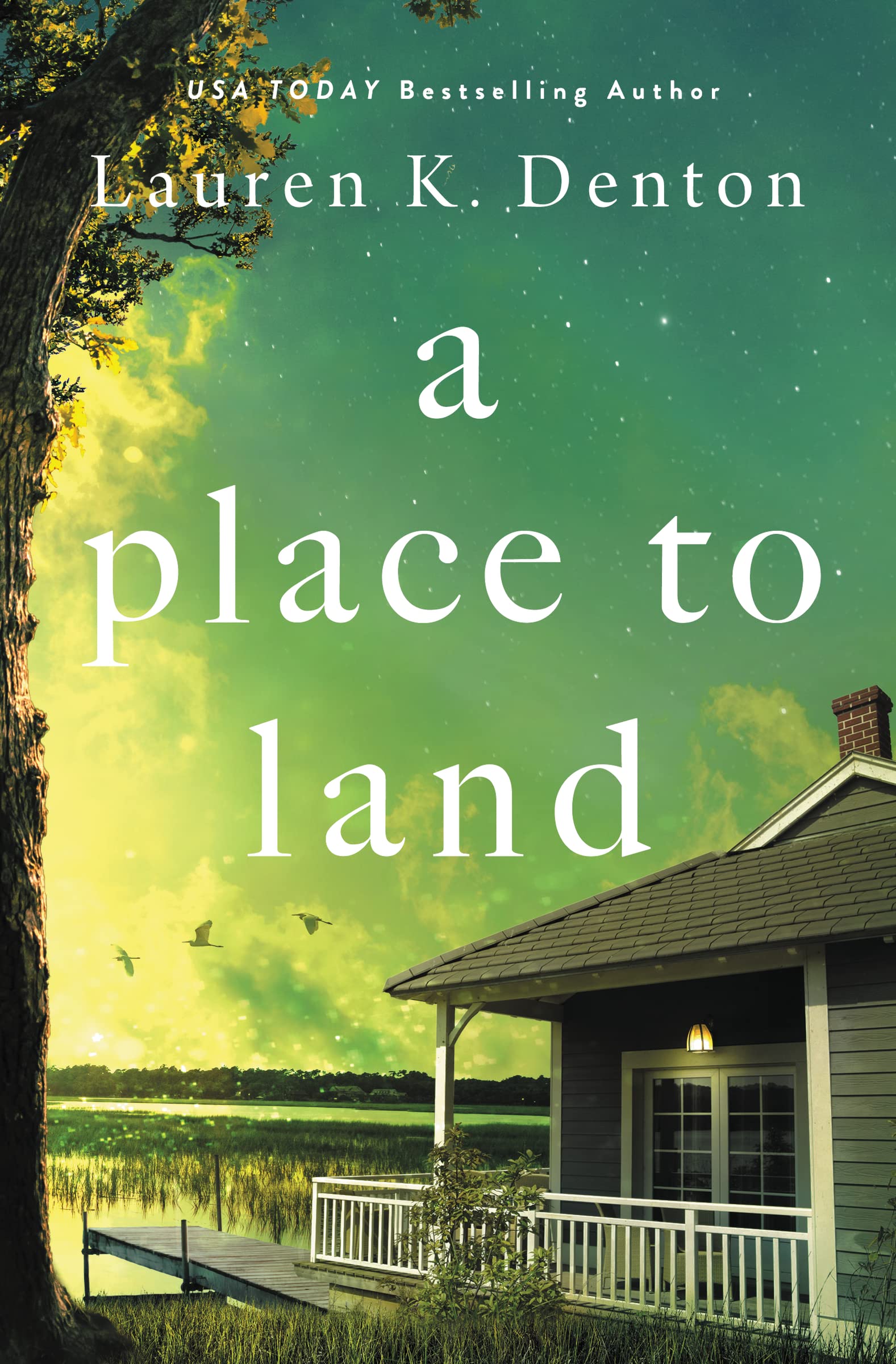 Buy Place to Land: Evaluation Framework — BookShops.in
