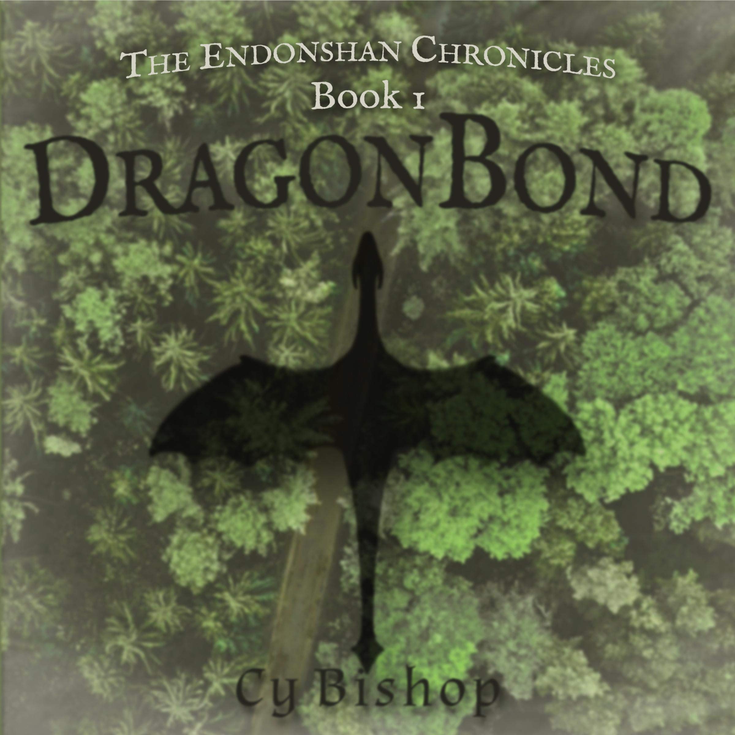 Cover art for DragonBond