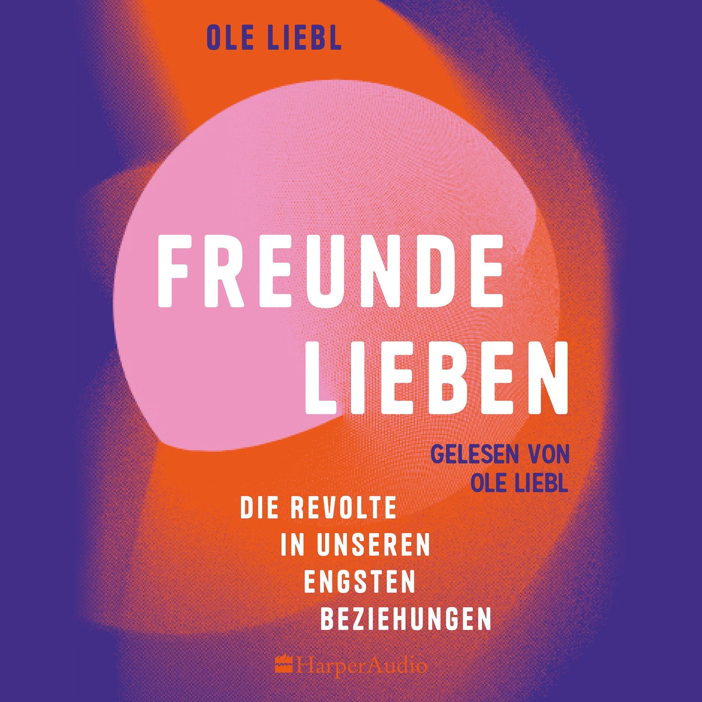 Cover art for Freunde lieben