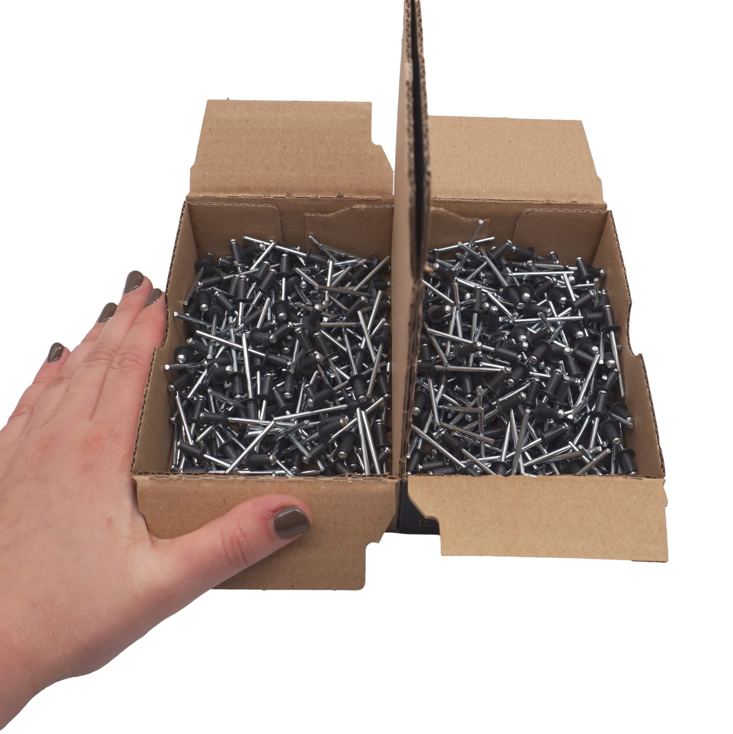 Confezione da 500 pezzi di rivetti ciechi verniciati 4,0 x 8 mm, a testa sferica, DIN 7337, rivetto in alluminio e mandrino in acciaio, rivetti a pressione (500, Grigio Antracite RAL 7016)