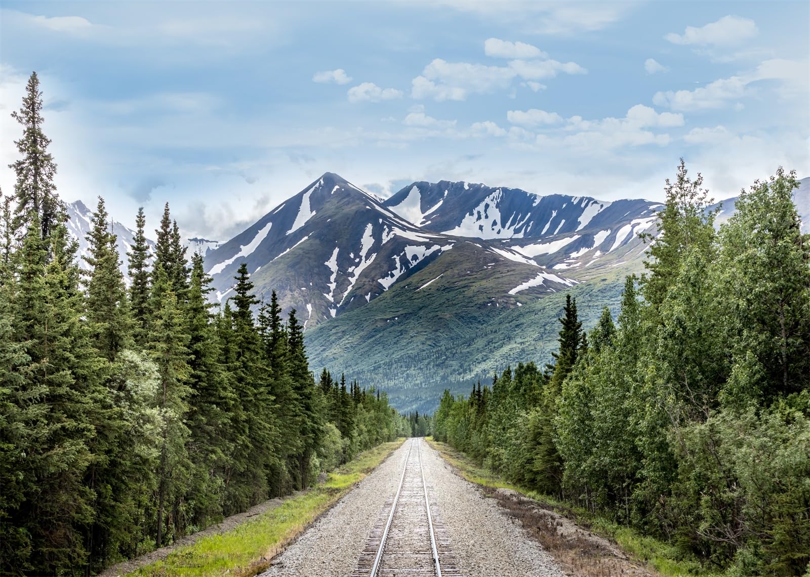 Loccor 6x4ft Fabric Mountain Railroad Backdrop Denali National Park Wilderness Railroad Photography Background Natural Mountains Backdrop for Travel