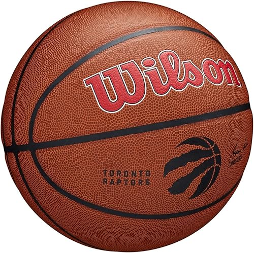 Miniatura 4 de Wilson NBA Team Alliance Balones de baloncesto - Tamaño 7-29.5" Reyes Sacremento,Detroit Pistons,Los Angeles Lakers,charlotte hornets,Chicago