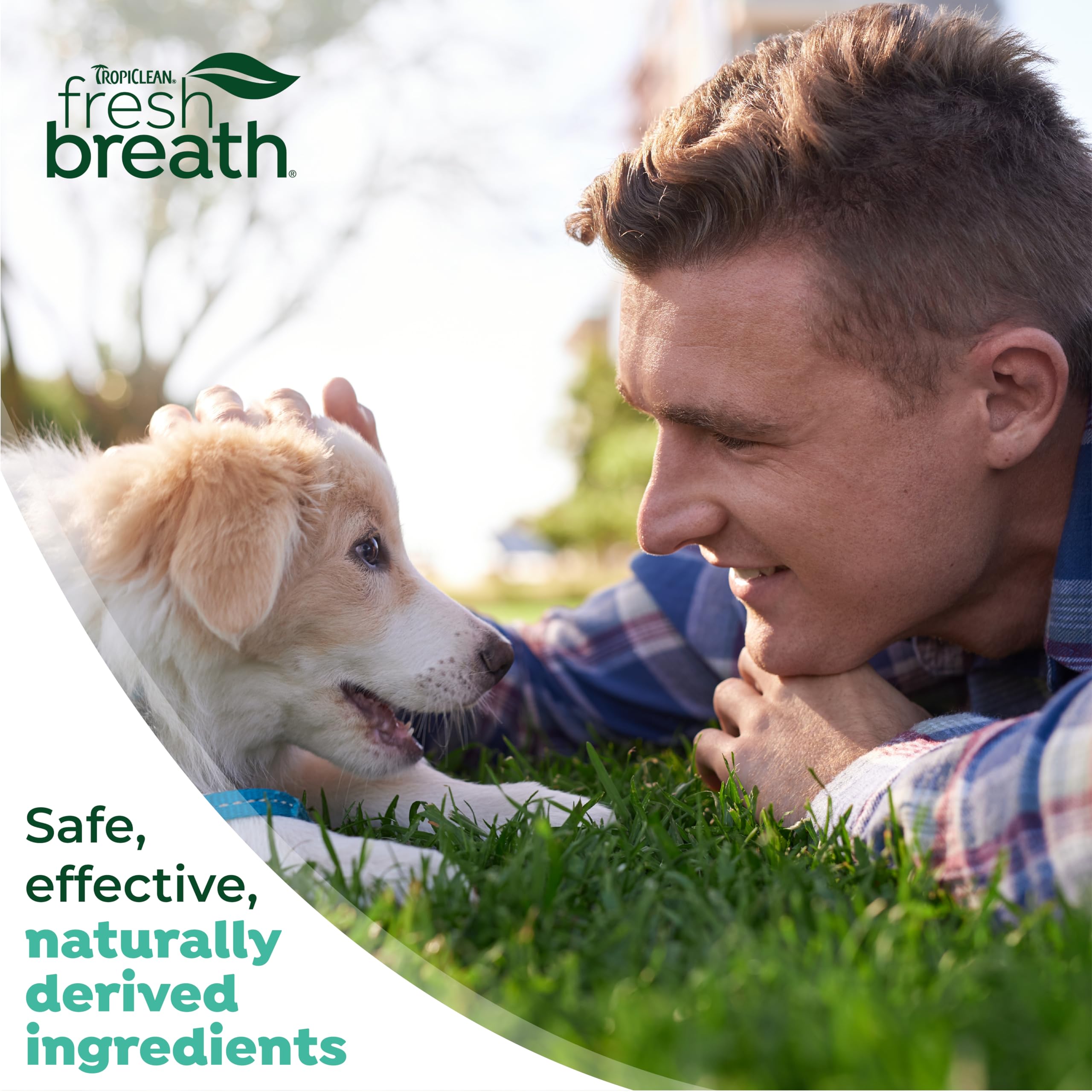 Kit de cepillo de dientes y pasta de dientes para cachorros, kit de limpieza de dientes para prevenir placa y sarro, ambientador de aliento, cuidado dental para perros 7