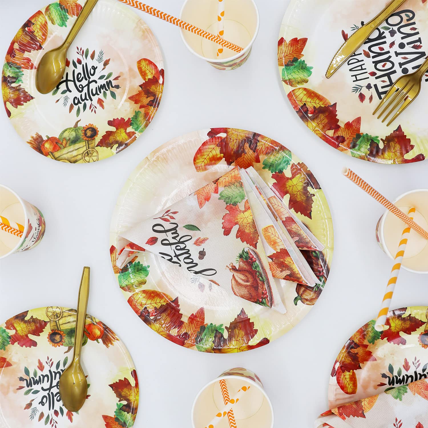 Thanksgiving Paper Plates Set for 24 Guests - Includes Plates(9
