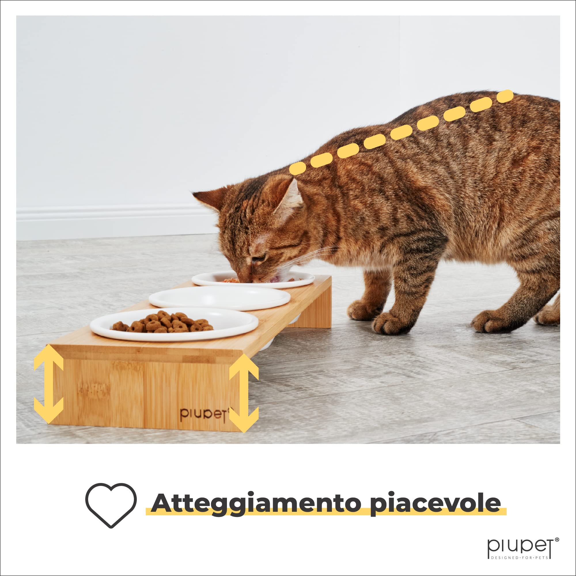PiuPet® 3er Ciotola per Gatti I 250ml I Lavabile in lavastoviglie I Ciotole per Gatti Rialzate I Ciotole Ceramica I Ciotola per Cani Piccoli I Cestello con 3 ciotole