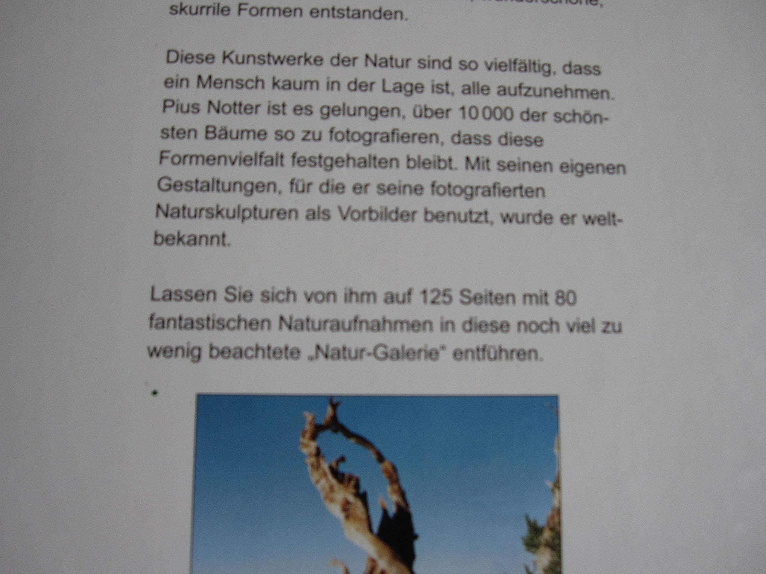 Baumgestalter Natur (Gebundener Fotoband)