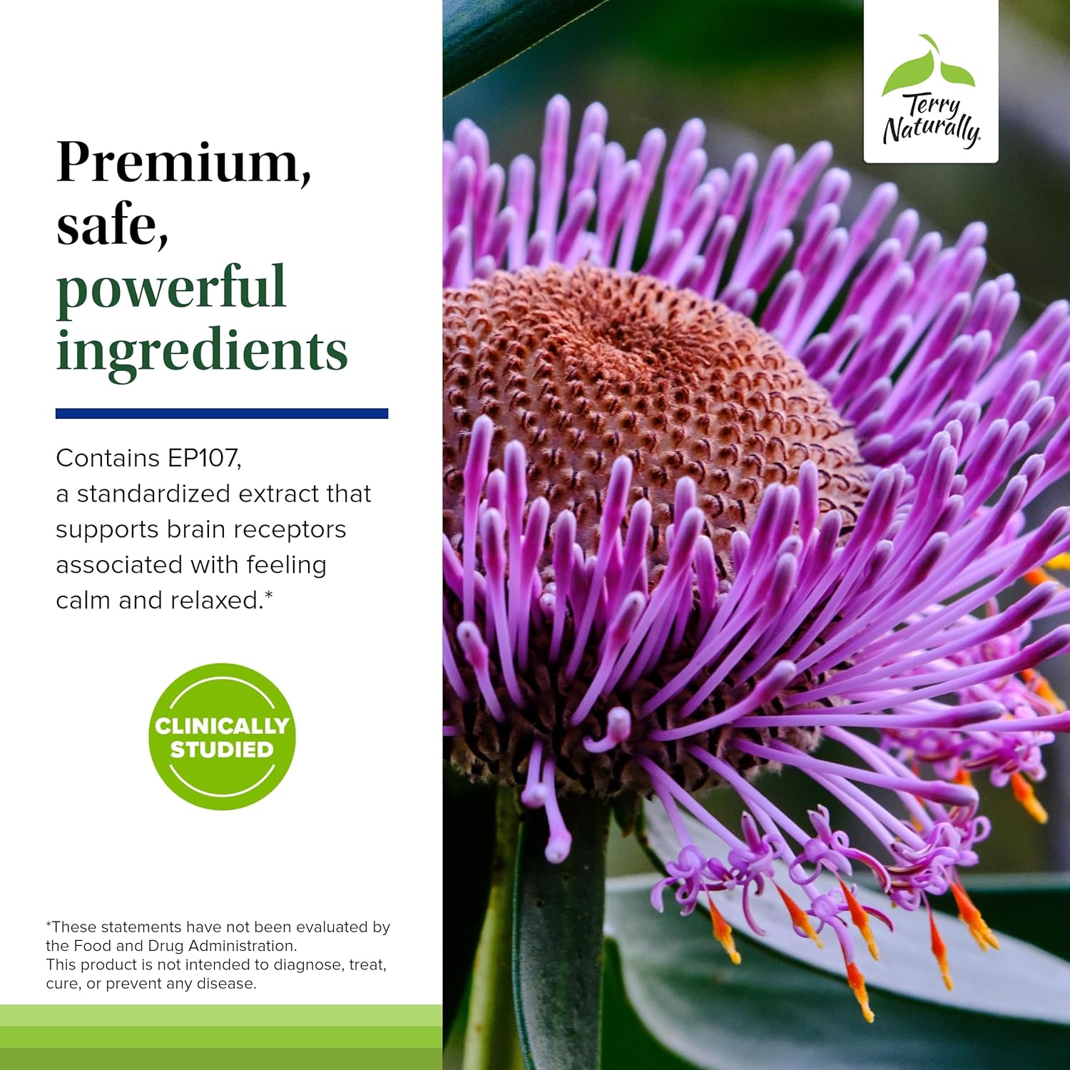 Terry Naturally AnxioCalm - Calming Support Supplement - Supports Against Occasional Tension & Aids Calm Feelings with Narrow-Leaved Coneflower - Non-Drowsy Supplement - 75 Tablets - Image 5