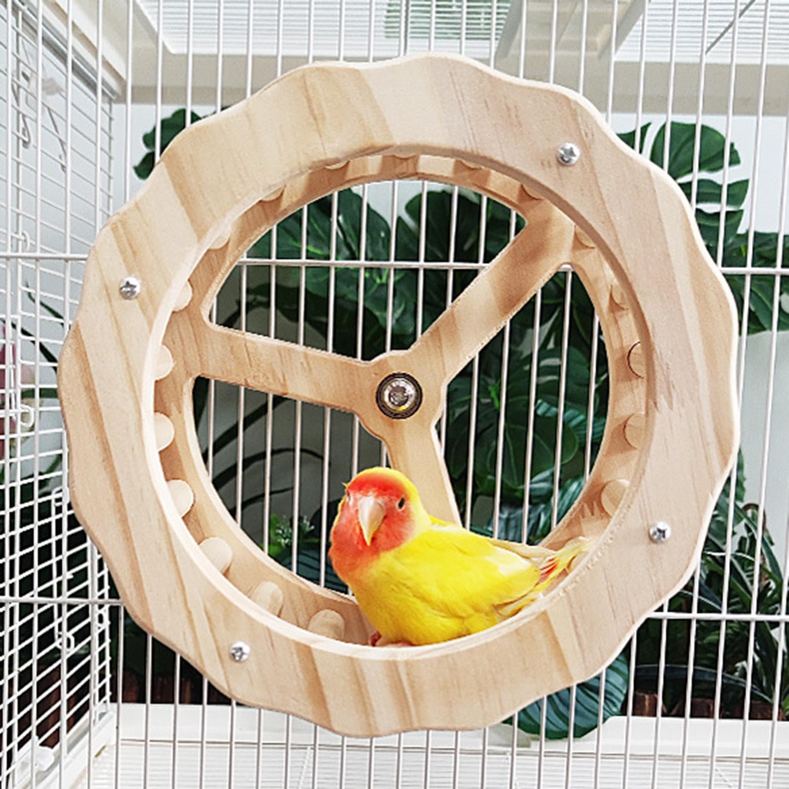 Vogelrad-Spielzeug – Leises Übungsrad Für Papageien, Sittiche & Nymphensittiche – 17 Cm & 21 Cm