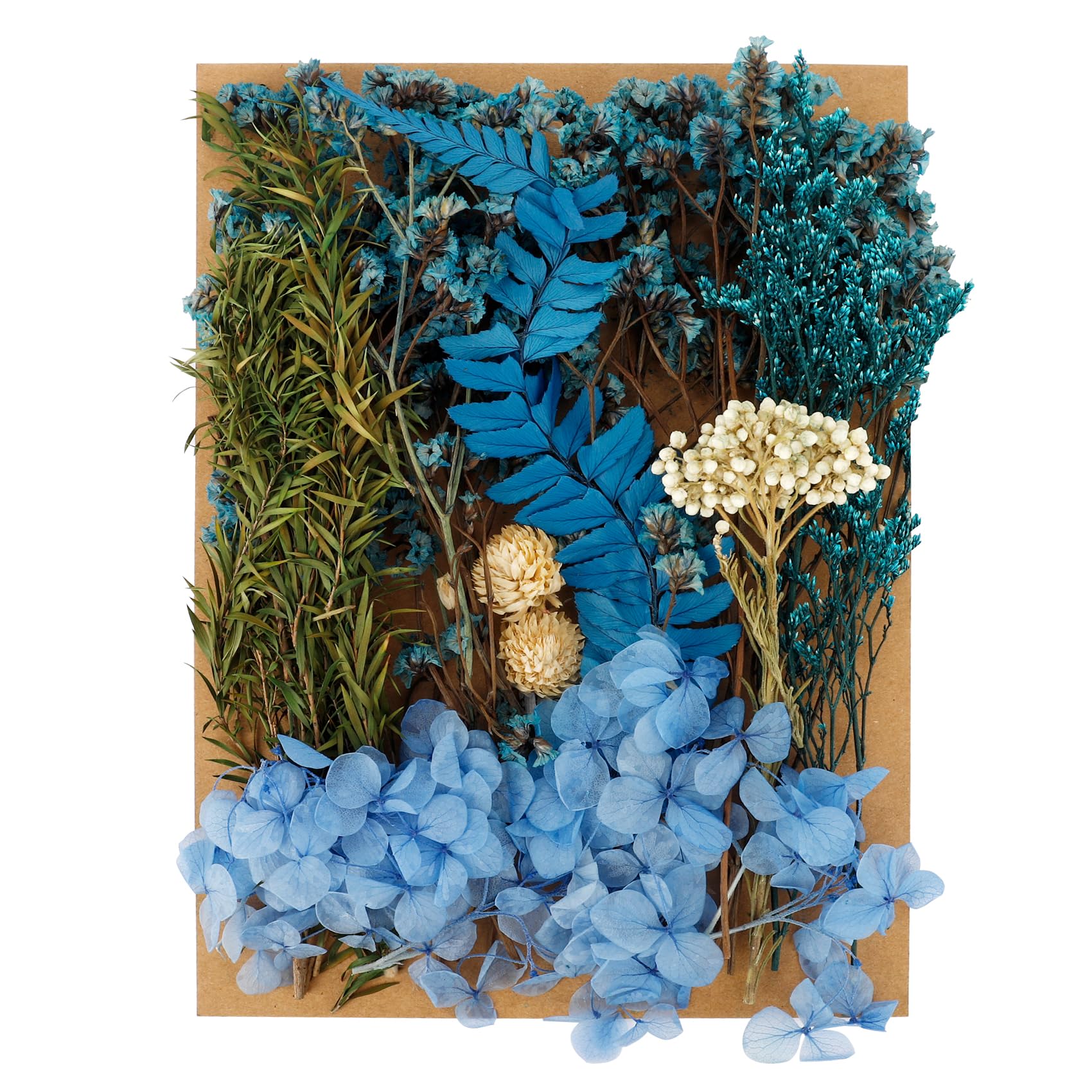 Dried Flowers,Dried Flowers For Crafts,Blue Dried Flowers,Dry Flowers For Decoration,Mixed Diy Set For Arts & Crafts, Resin, Scrapbooking, Card Making, Bookmarks