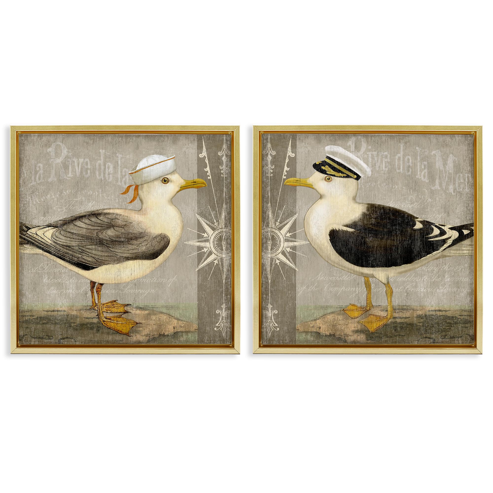 Stupell Industries 'Little Seagulls with Hats', 2pc Floating Frame Art Set 2, Gold, 25 x 25 Inches, Easy to Hang and Sturdy, Made in USA, by Suzanne Nicoll