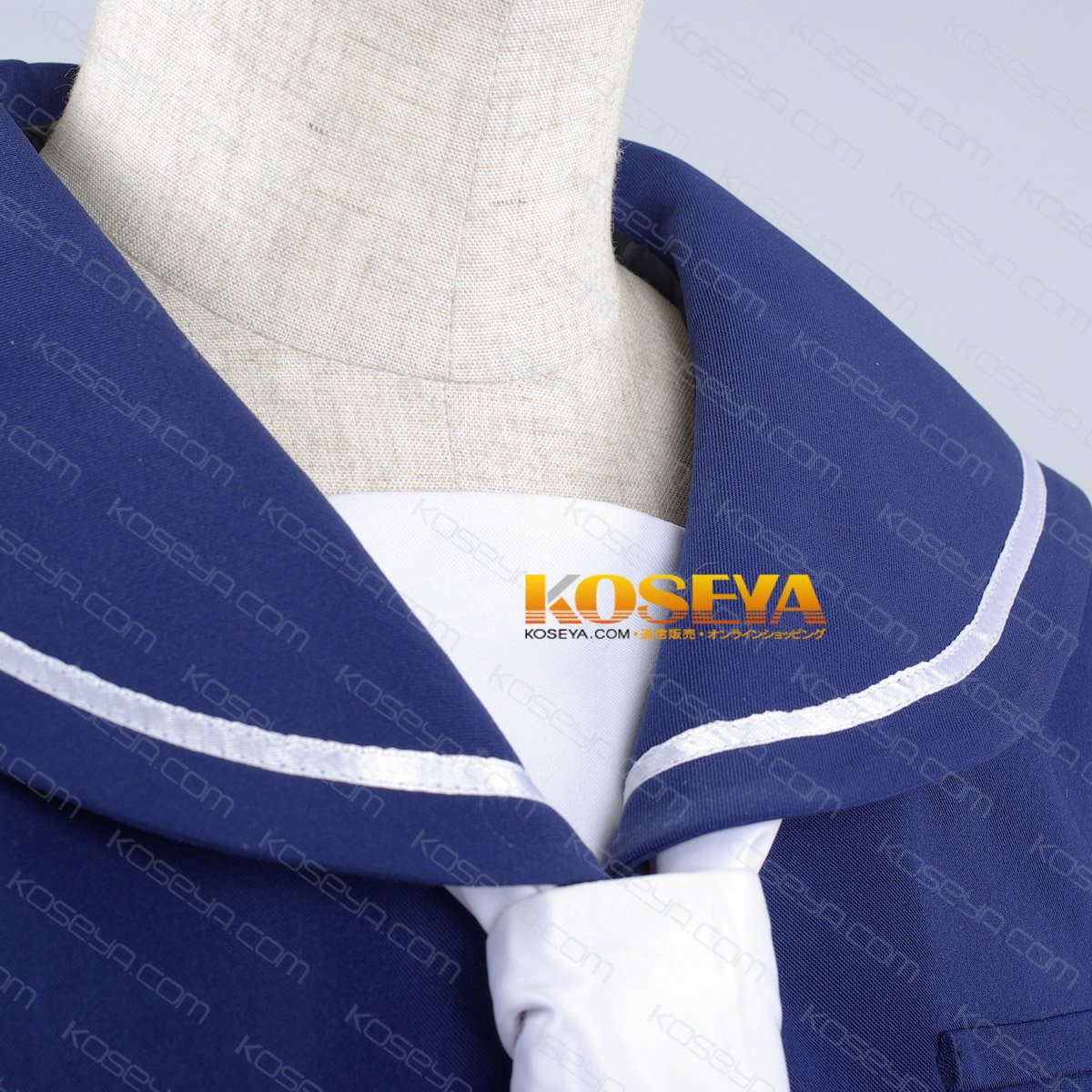 Amazon.co.jp: RDG レッドデータガール 鈴原泉水子（すずはら いずみこ