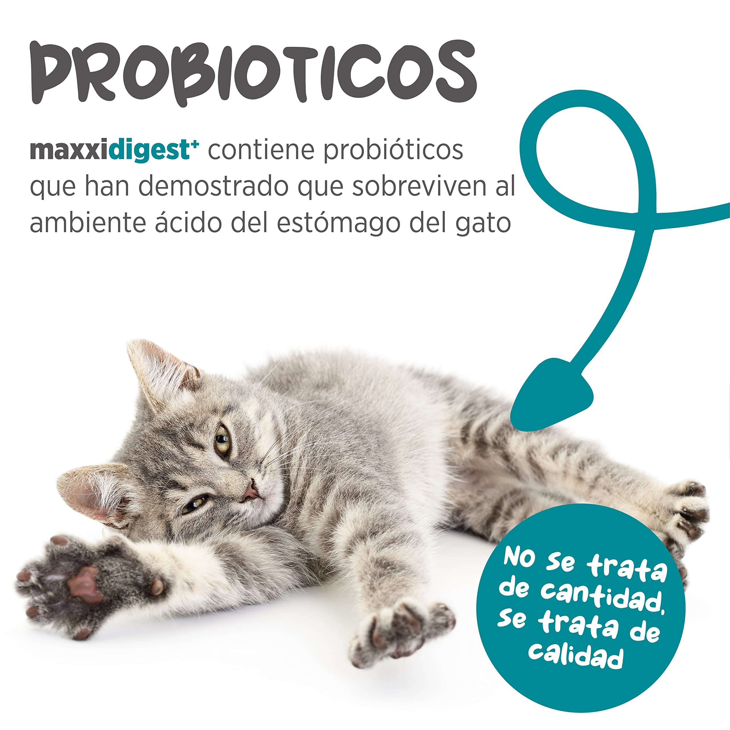 maxxipaws maxxidigest+ Prebióticos y Probióticos para Gatos - Soporte Digestivo e Inmunológico - Suplemento en Polvo, 200g