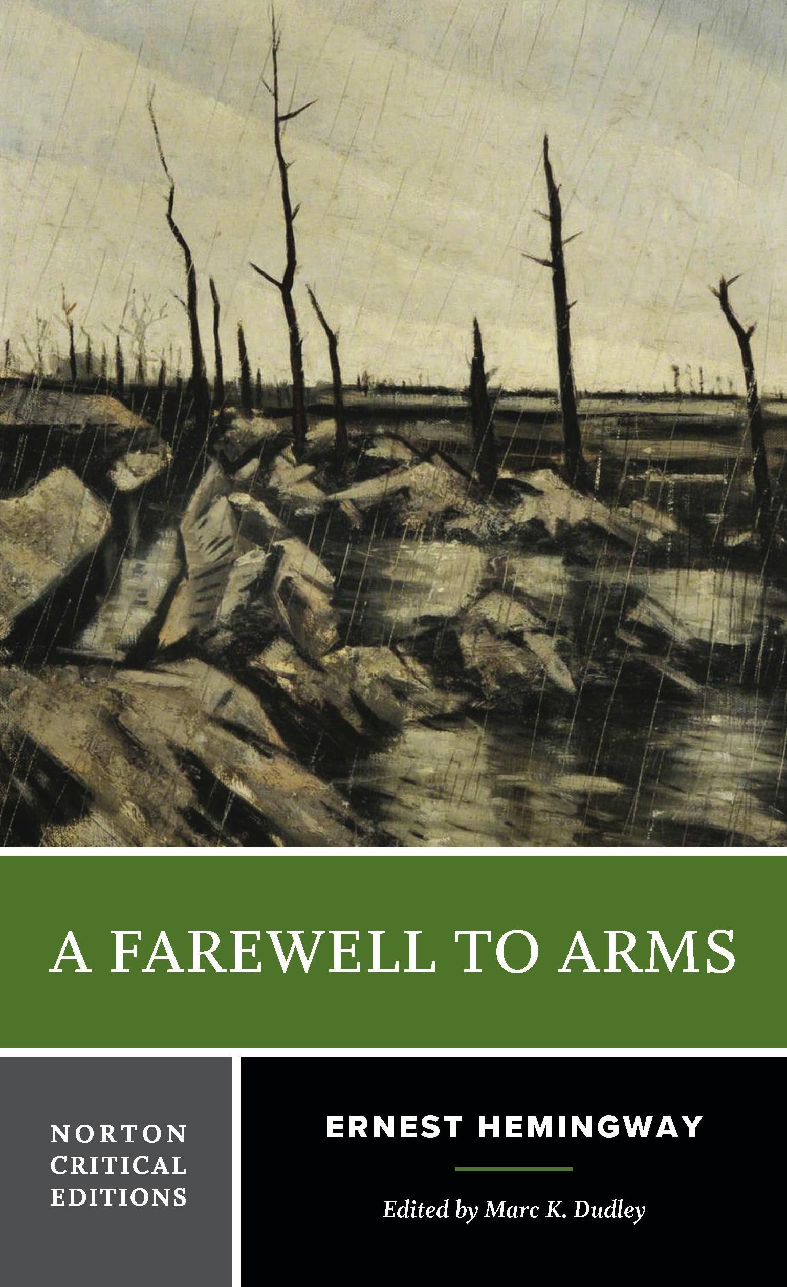 A Farewell to Arms: A Norton Critical Edition (Norton Critical Editions)