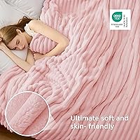 Vista 293 de Bedsure GentleSoft Twin Blanket for Couch - Cozy Soft Blankets for Women, Cute Small Fleece Throws for Girls, Light Grey, 60x80 Inches