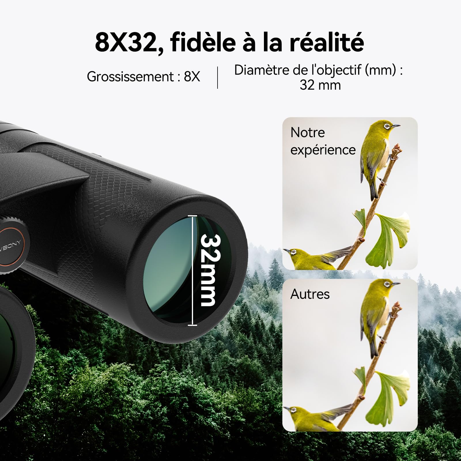 Svbony SV202 Upgraded 8x32 ED Fernglas, BAK4 Prisma FMC Objektiv, IPX7 Wasserdicht, Phasenkorrektur, Dielektrische Prismenbeschichtung, Weitwinkel für Erwachsene, Vogelbeobachtung