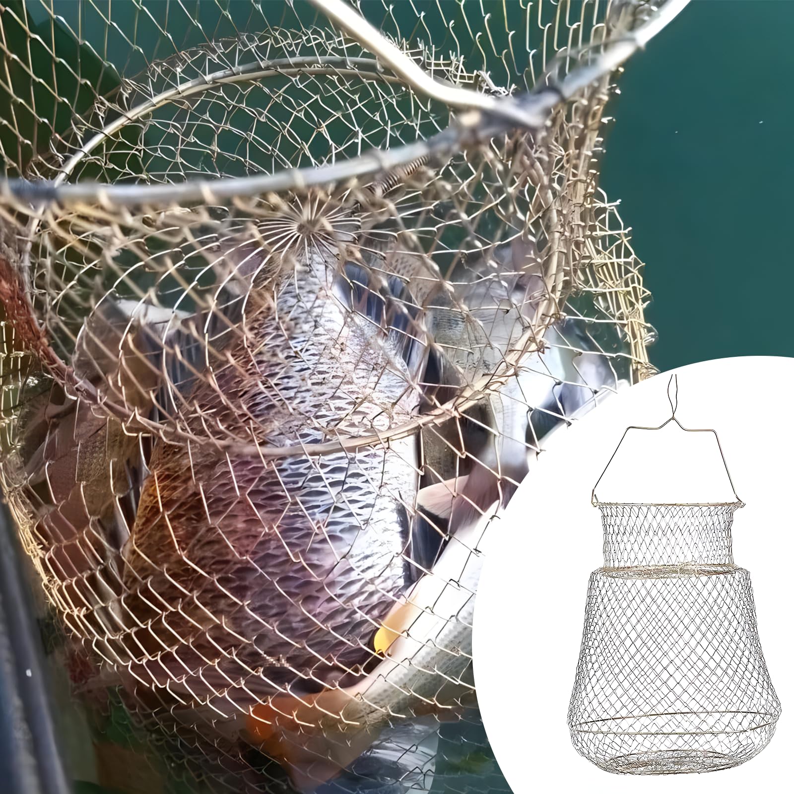 Wohlstand 1 pièce Panier à Poisson en Métal, Épuisette de Pêche Télescopique, Epuisette de Pêche à la Carpe, Conception Pliable, Peut contenir Plus de Poissons, diamètre : 30 cm, Hauteur : 39 cm