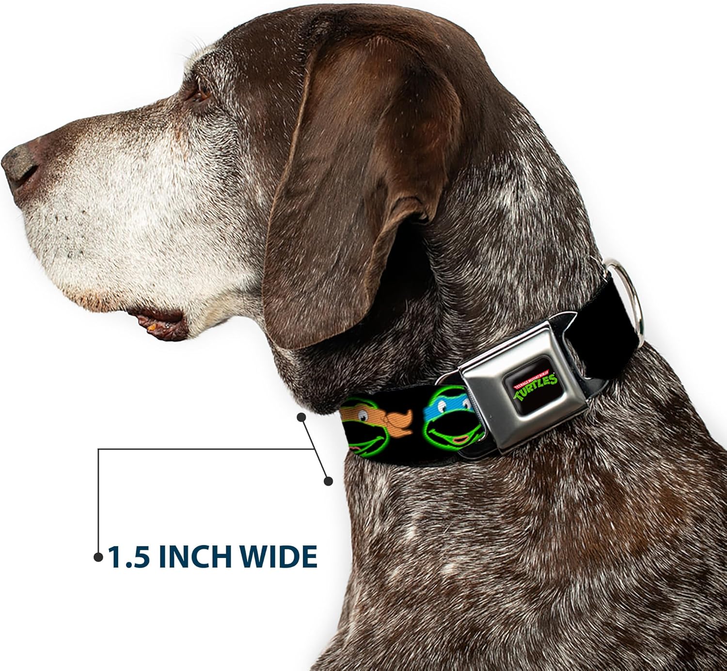Buckle-Down Seatbelt Buckle Dog Collar - Classic TMNT Electric Expressions Black/Multi Neon - 1" Wide - Fits 11-17" Neck - Medium