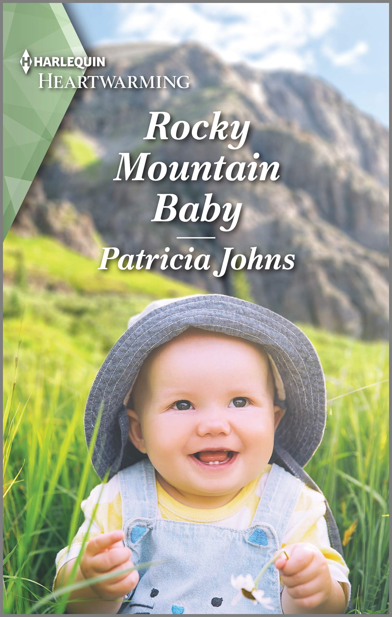 Buy Rocky Mountain Baby: An Instant Family Contemporary Clean Romance (The Second Chance Club Book 3) — BookShops.in