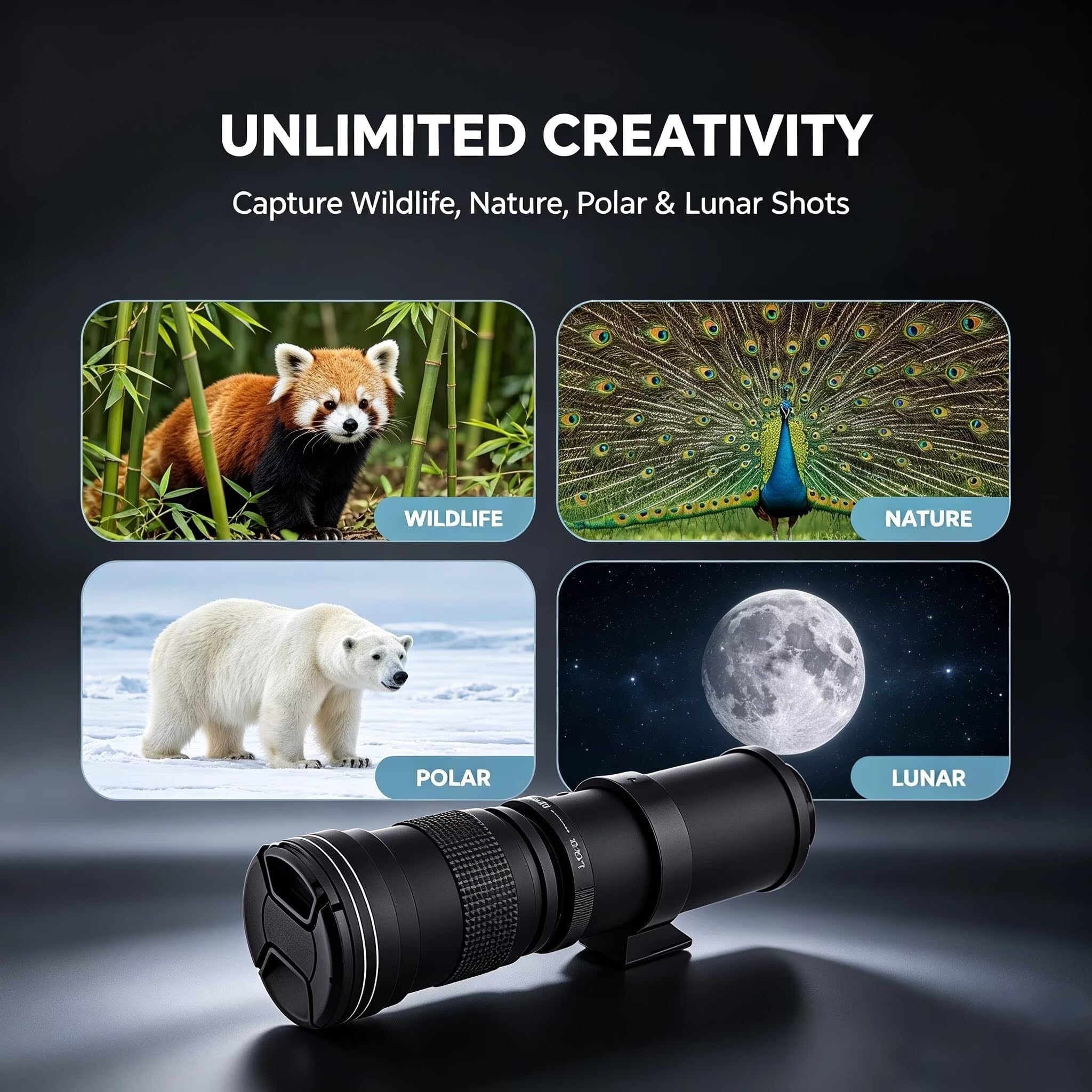 JINTU Teleobjektiv 420-800mm, F Objektiv für Nikon DSLR, Manueller Fokus MF Zoom Objektiv für Nikon D5600 D5100 D5200 D5500 D7100 D7200 D7500 D850 D750 D850 D650 D810 D3000 D3100 D3200 D3500 D90 D80