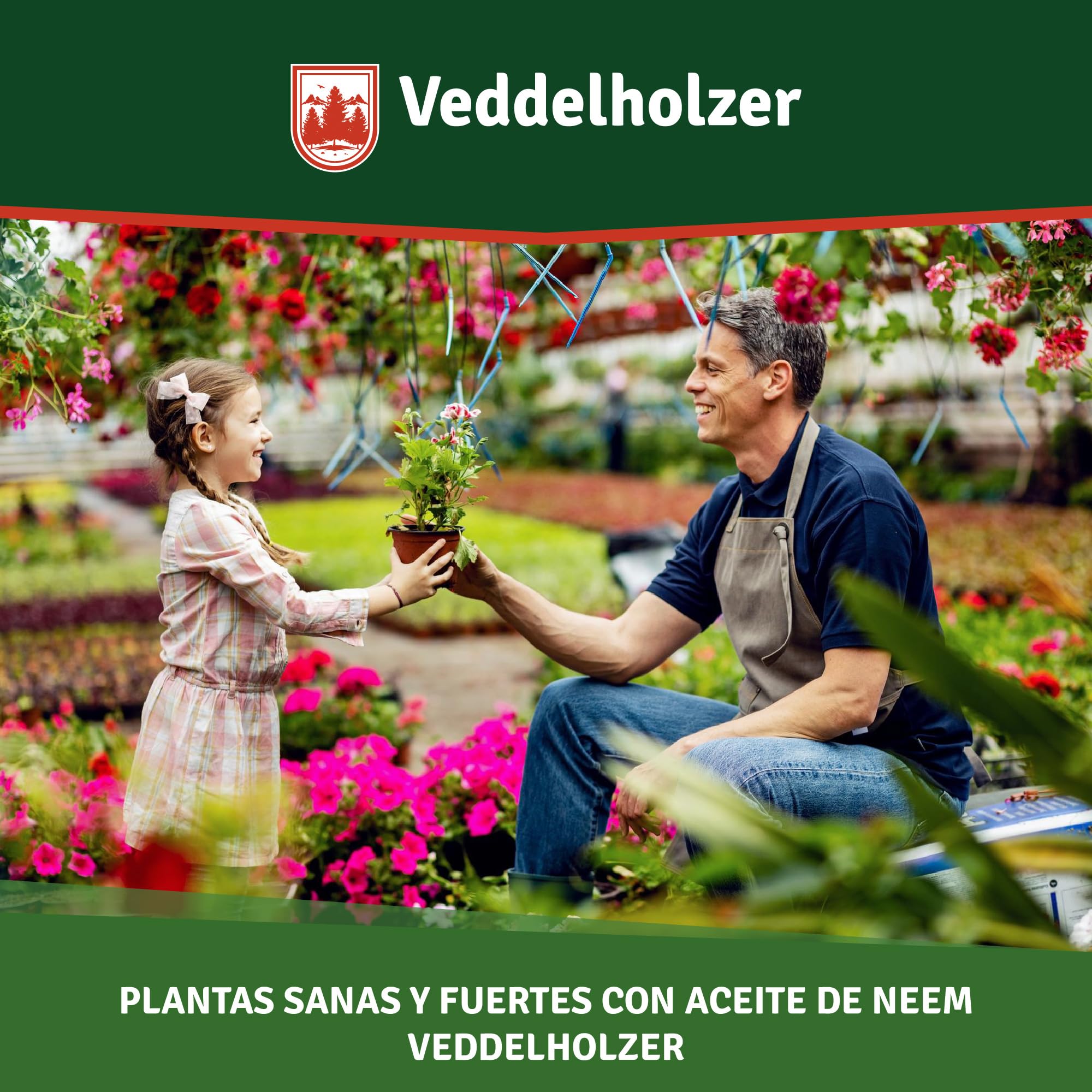 Veddelholzer 1000 ml Premium aceite de Neem 100% natural prensado en frío Set completo con emulsionante natural + pulverizador 500 ml y 2 medidores Cuidado natural de plantas para interior y exterior