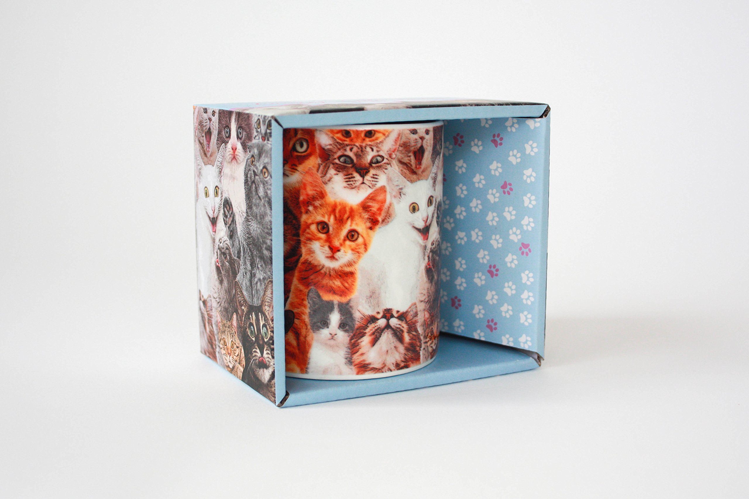 Crazy Cat Lady Mug