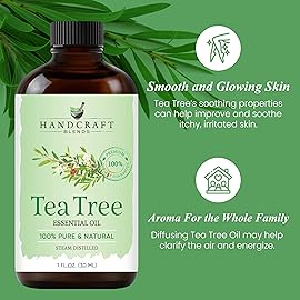 Handcraft Blends Tea Tree Essential Oil - 1 Fl Oz - 100% Pure and Natural - Premium Grade Essential Oil for Diffuser and Aromatherapy, Skin, Massage, Candle and Soap Making Fragrance