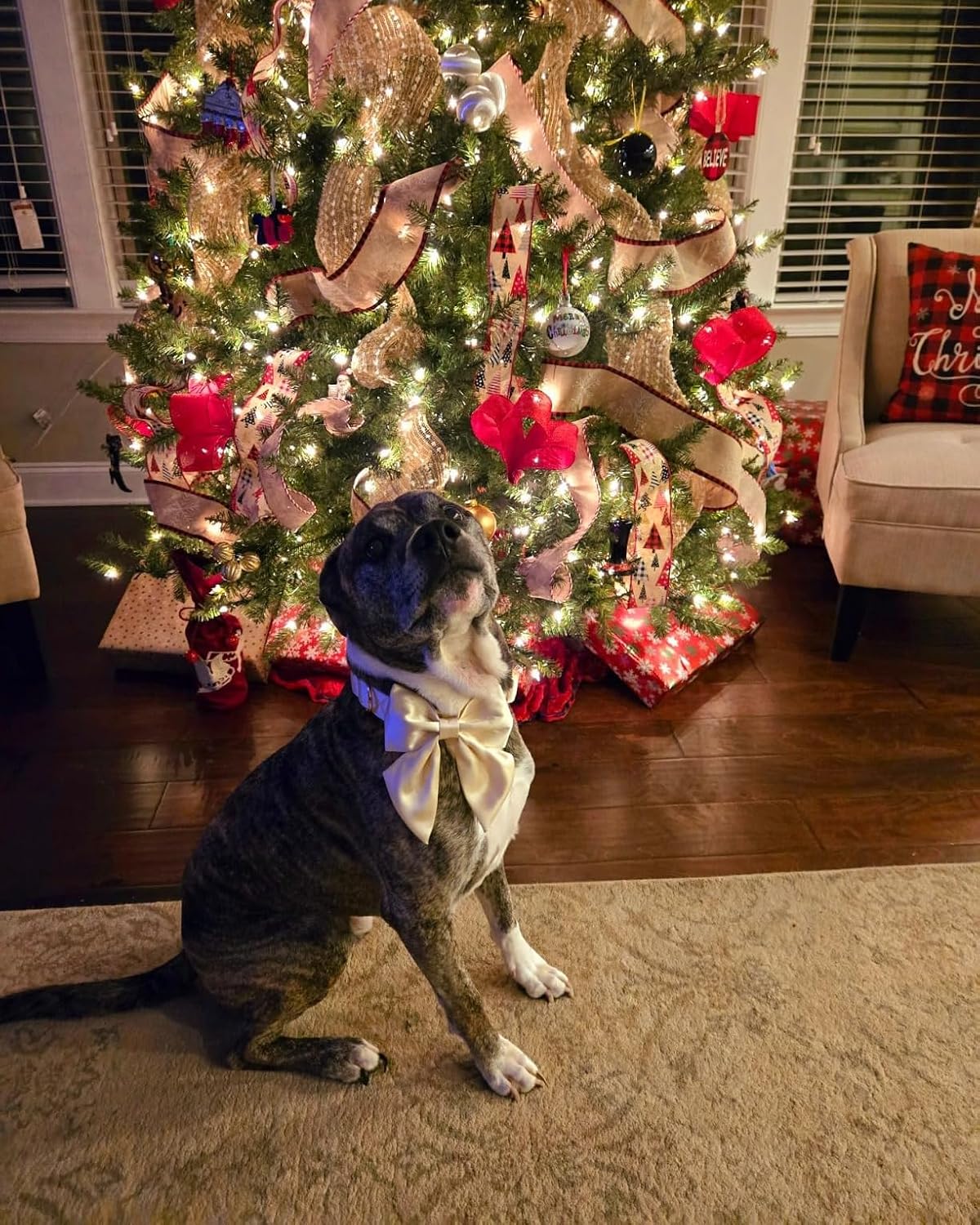 Lionet Paws Bowtie Dog Collar - Comfortable Silk Dog Collar with Detachable Bow Tie for Medium Dogs, Neck 13.5-22 Inches image 5