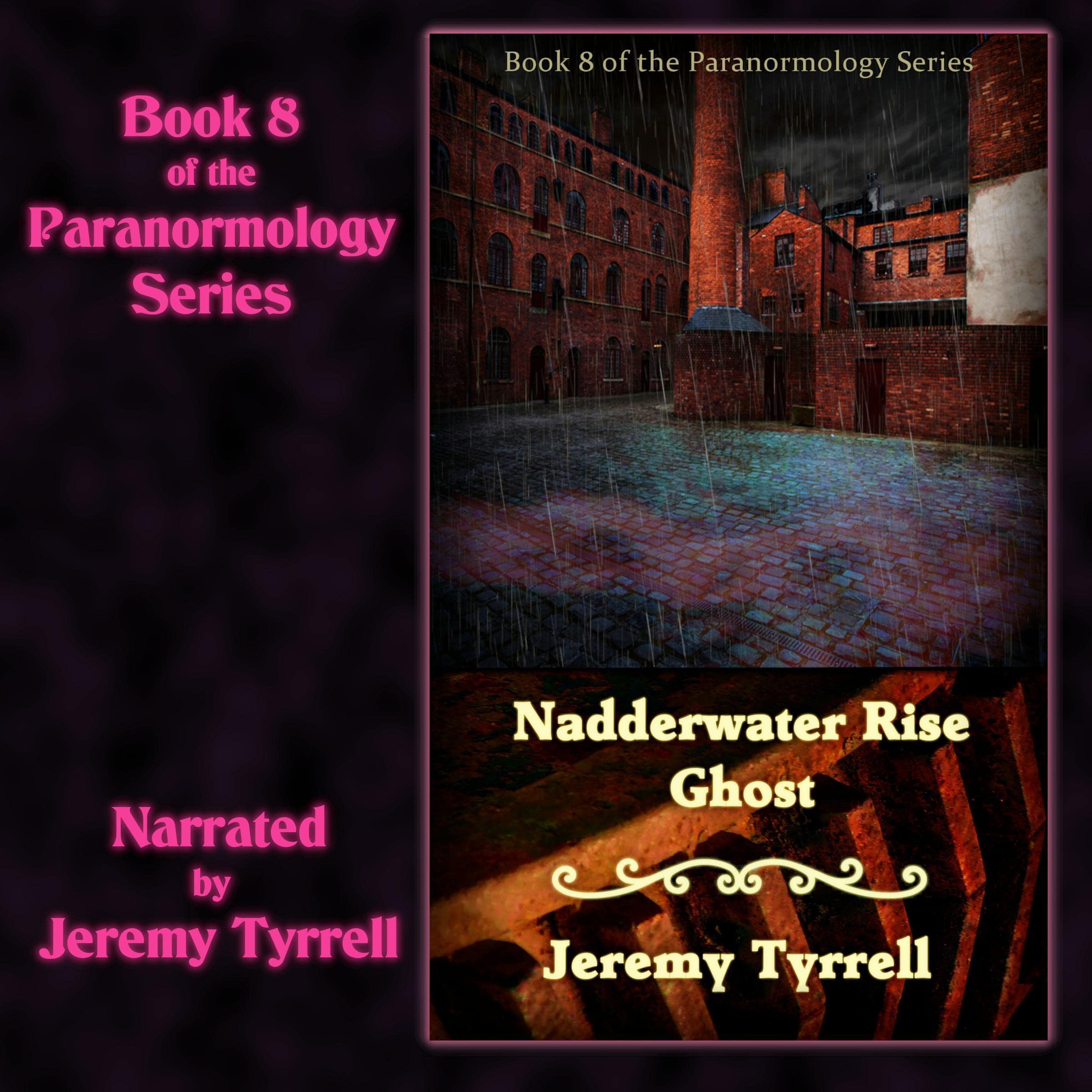 Cover art for Nadderwater Rise Ghost