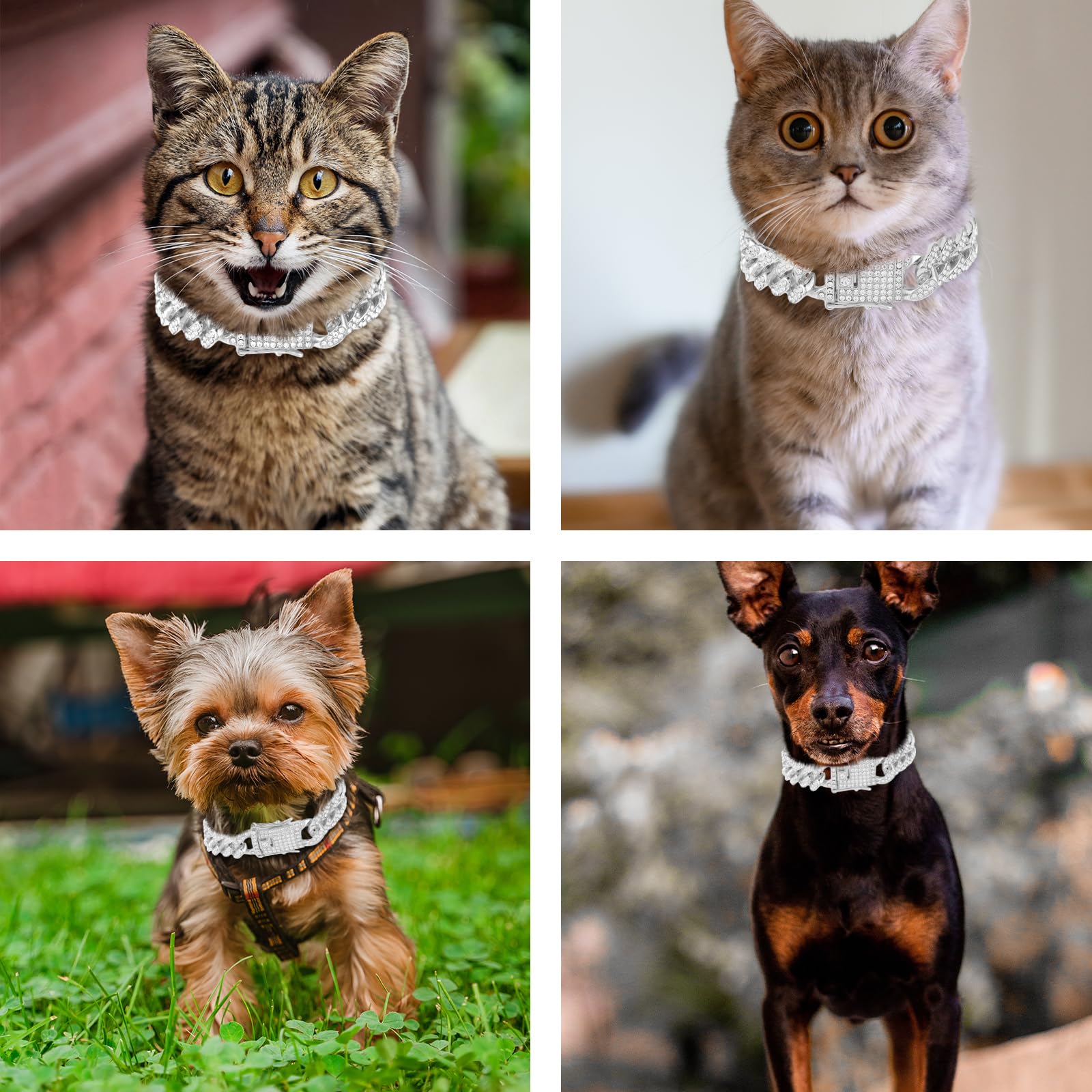 Pet Supplies : Amabro Cat Chain Collar, Diamond Cuban Link