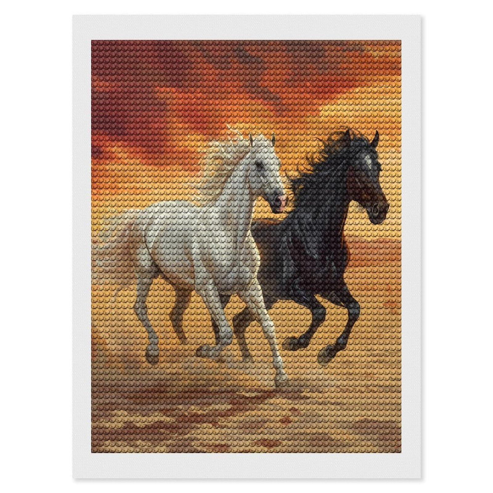 Nclqvjxzkhw Style Running White And Black Horses Diamond Art Painting For Adult Round Diamonds Pictures Arts Crafts Home Wall Decor 12"X16"