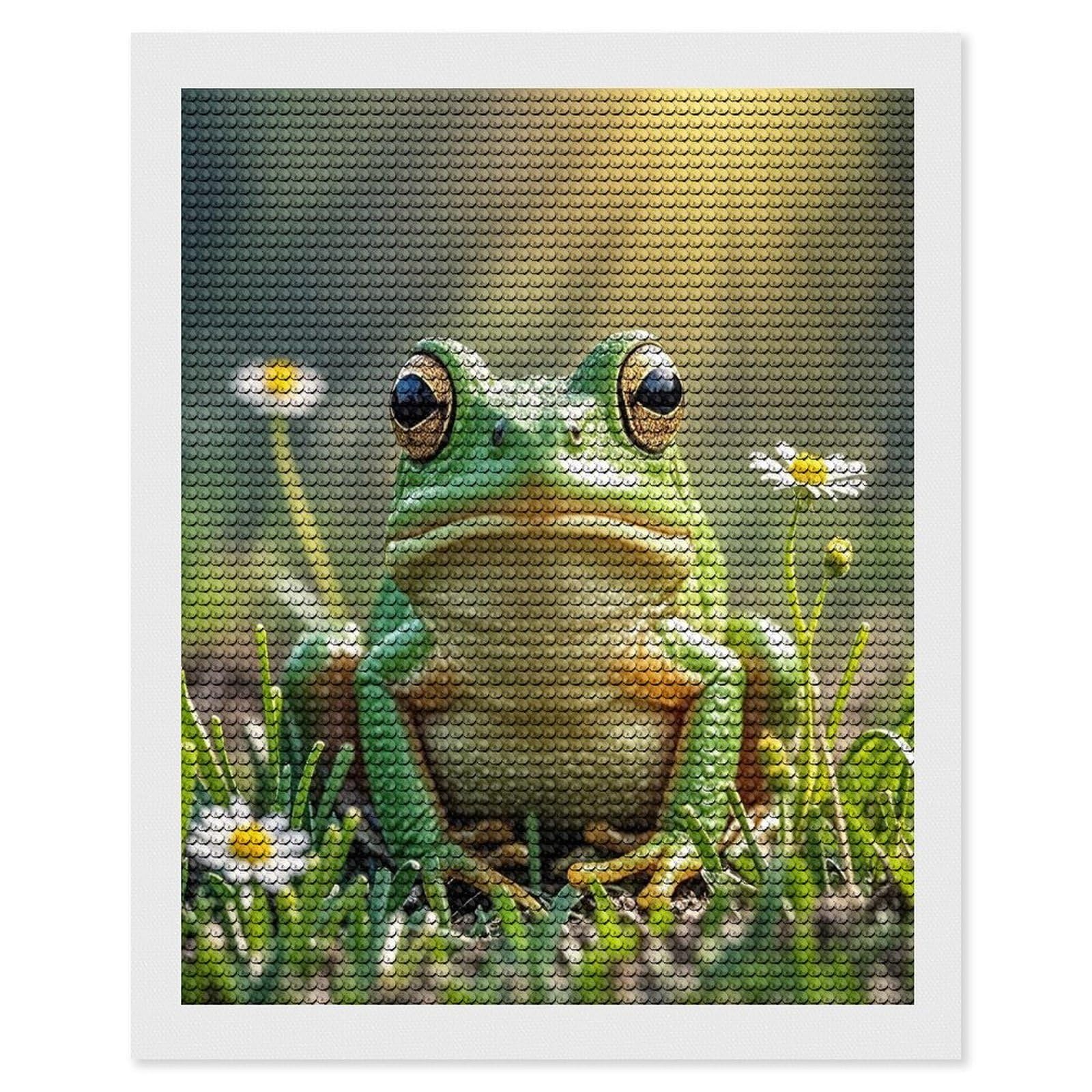 FekiLoot Cute Frog Diamond Painting Kits for Adults Full Round Drill Diamond Art Kits for Beginners 5D DIY Diamond Dots Paintings Diamonds Pictures Gem Art Home Wall Decor 16"x20"