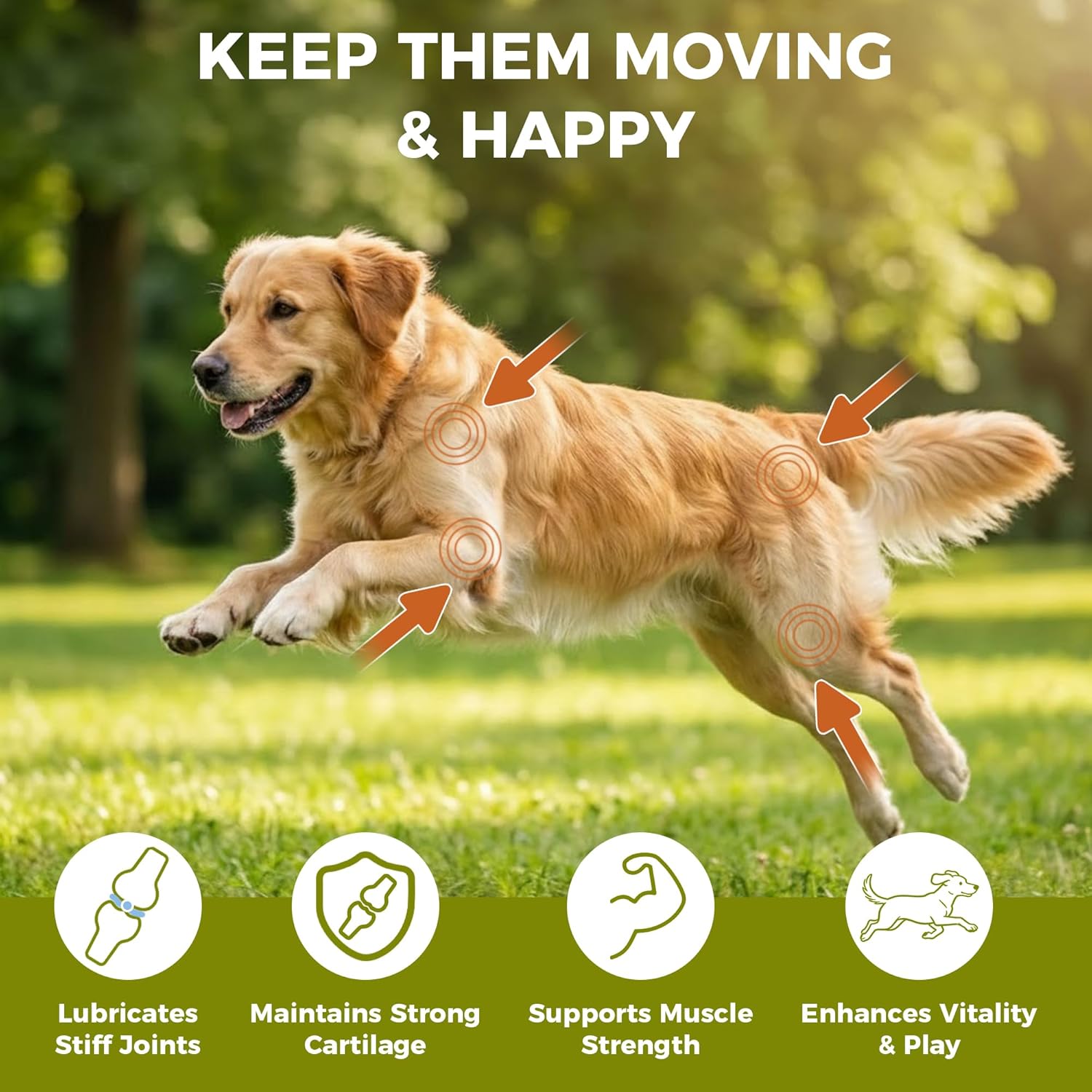 Dog Joint Supplement Soft Chews for Senior & Large Breeds – Glucosamine, Chondroitin & MSM – Supports Hip & Joint Mobility & Comfort – 120 Count