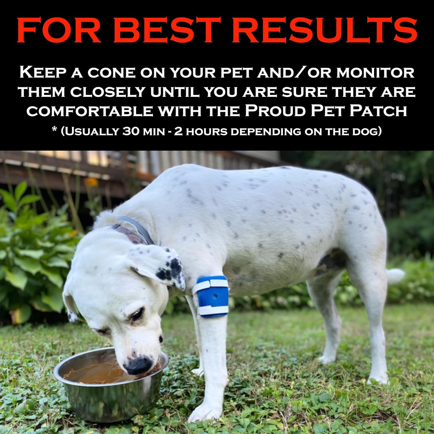 Proud Pet Patches Dog Bandage for Wound Care w/Peep Hole Cover. Bandages for Dog Hot Spots, Lick Granuloma, Stitches and Wounds. Self Adhesive Wrap Works for Paw, Tail, Legs, Foot for Dogs & Cat - Image 7